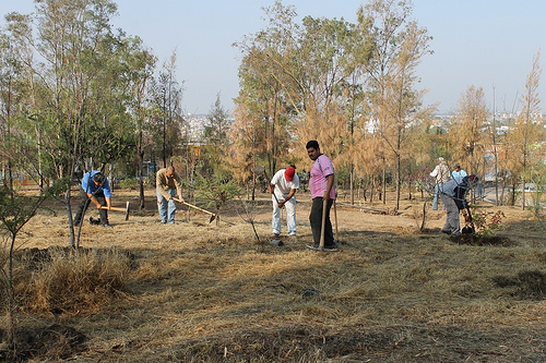 Presenta la SMAE resultados de reforestación en el estado