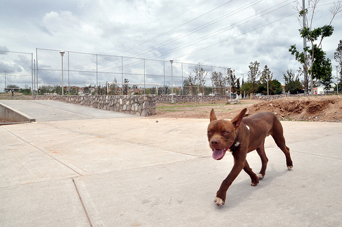 Cacería de malos funcionarios aún no termina en Aguascalientes