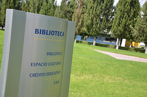 UP incrementa su matrícula un 15 por ciento: rebasa los mil 200 alumnos