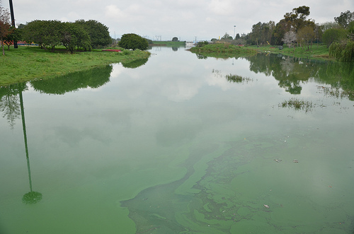 Servicios Públicos atiende problemática en la presa de Los Gringos