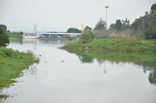 Presa Los Gringos se convierte en foco tóxico para los habitantes de colonias aledañas