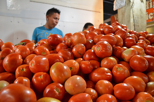Transgénicos ya no afectan más a nuestra sociedad y su alimentación: Sagarpa