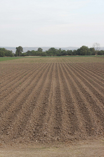 La tenencia irregular de la tierra entorpece el combate a la pobreza