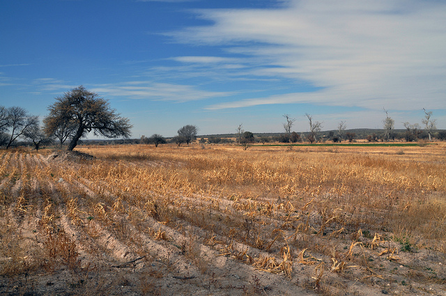 Partidos políticos también han especulado con tierras
