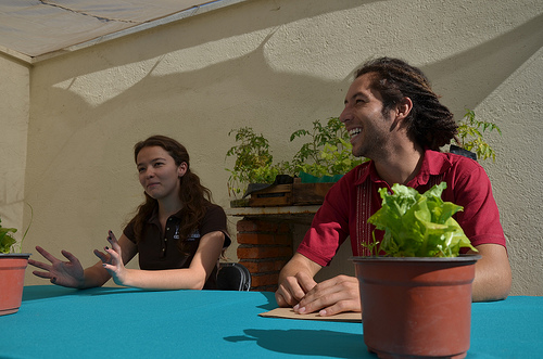 Un huerto en casa: presentan proyecto de agricultura urbana