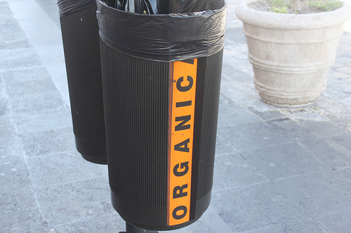 Avance del 50 por ciento registra la colocación de cestos papeleros en la ciudad