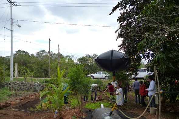 Biobolsa una alternativa viable para la generación de energía mediante biodigestores