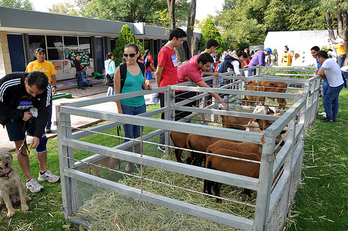 Ecos de la Feria Universitaria en su edición XIX