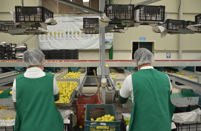 UAA convoca a Proceso de Incubación de Empresas