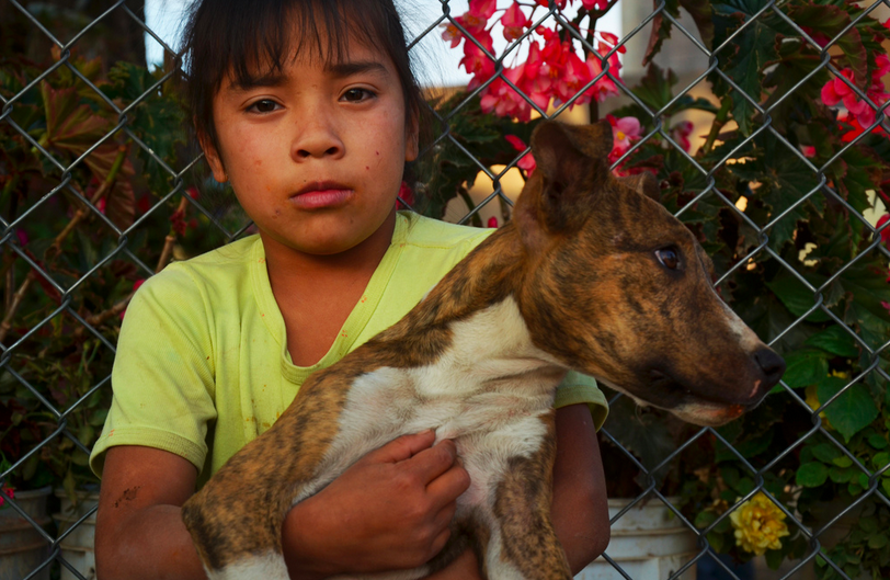 Aguascalientes sin rabia, asegura el ISSEA