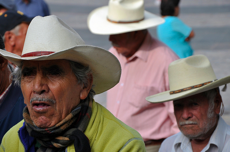 Se realizará la Jornada de Empleo para Personas con Discapacidad y Adultos Mayores