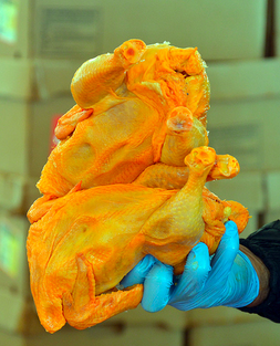 Aguascalientes ocupa el cuarto sitio en producción nacional de pollo