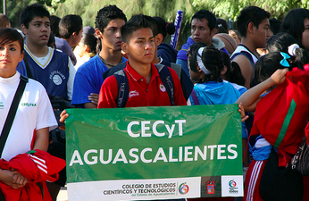 Miscelánea de irregularidades: nepotismo, deducibles, gastos sin comprobar en Cecytea