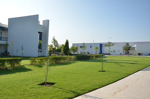 Solicitará la UPA incremento presupuestal de 17%