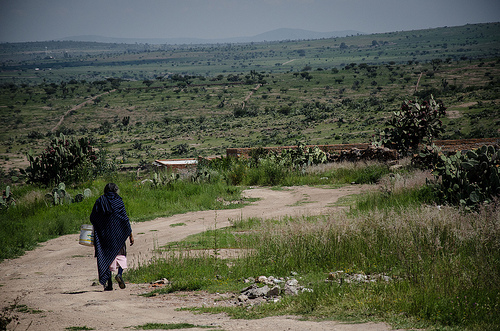 Gobierno de Lozano de la Torre no ha establecido políticas de combate a la pobreza