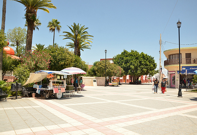 PT realizará consulta popular en Rincón de Romos