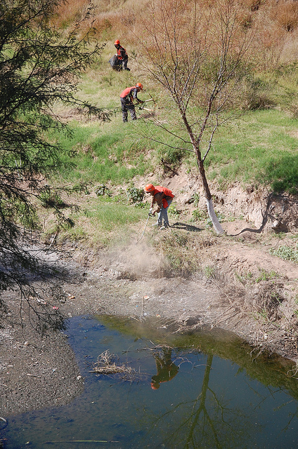 Arroyos de la capital afectados por tiradero de llantas y escombro
