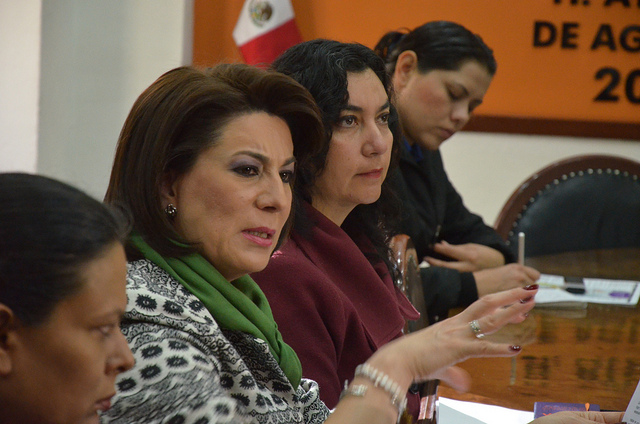 Favorable para el país la Reforma Político Electoral, dice Lorena Martínez