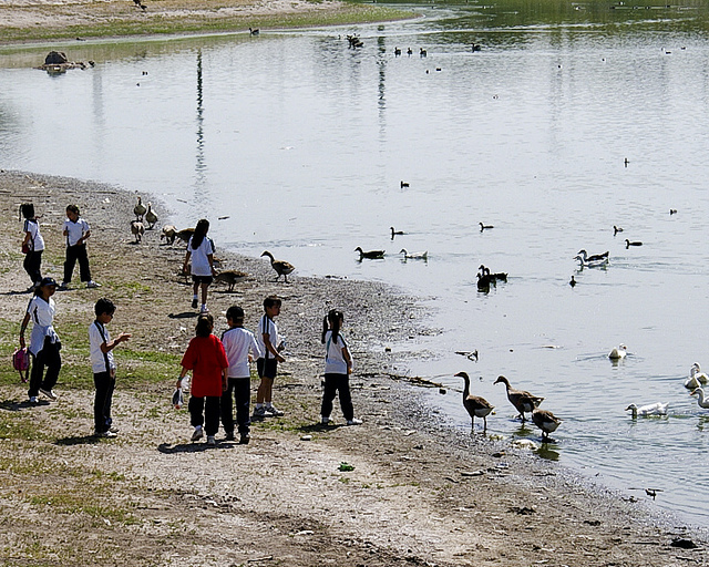 Promueven programas de educación ambiental en todos los sectores