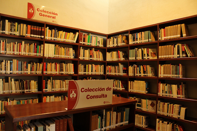 Abierta hasta el 7 de agosto, la convocatoria al Premio Nacional de Literatura Joven Salvador Gallardo Dávalos