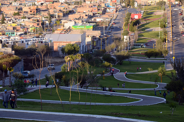 Diputados del Verde acusan que se quiere pavimentar zonas de la Línea Verde