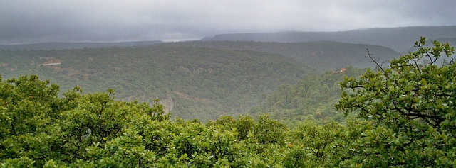 Restauración de la cuenca Río Verde, prioridad para el 2014