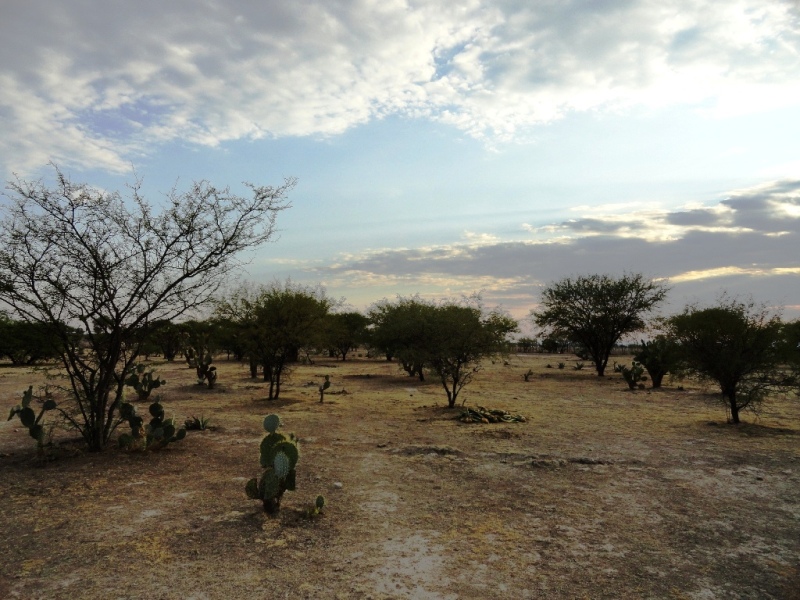 Aguascalientes celebra el Día Mundial de los Humedales
