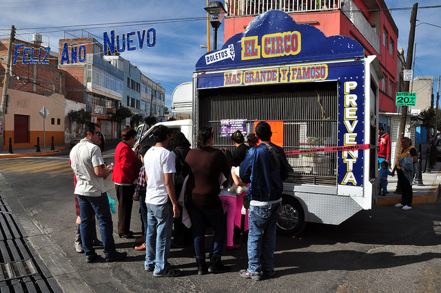 Lamenta Amigos Pro Animal boicot a la prohibición de circos con animales
