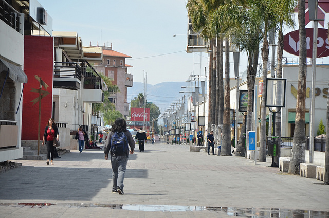 Aumentará la plantilla de verificadores durante la FNSM