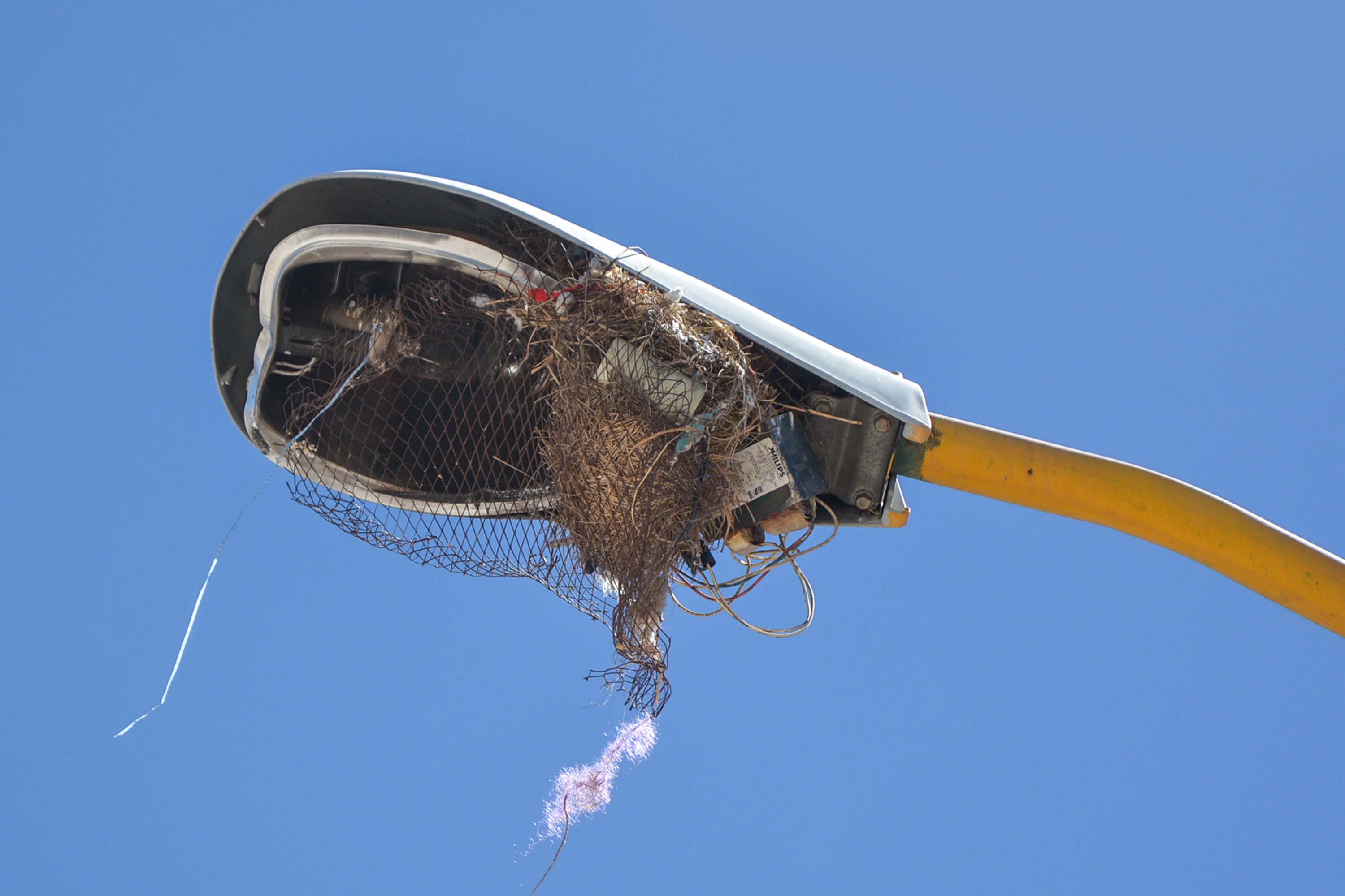 Trabaja el Ayuntamiento de Jesús María para solucionar problemas de alumbrado público