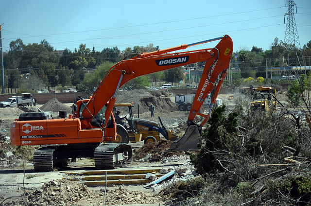 Nueva sanción a empresa por derribar más árboles en el ex balneario Ojocaliente
