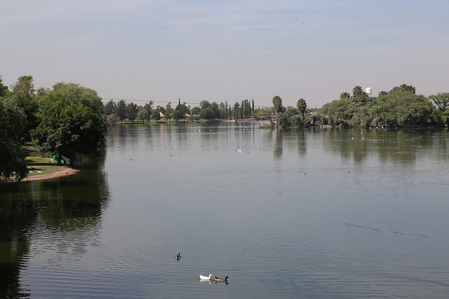 La Reforma Energética carece de un proyecto paralelo de protección ambiental
