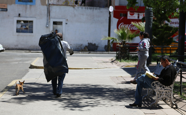 Capacitarán a autoridades del estado sobre peleas de perros y su erradicación