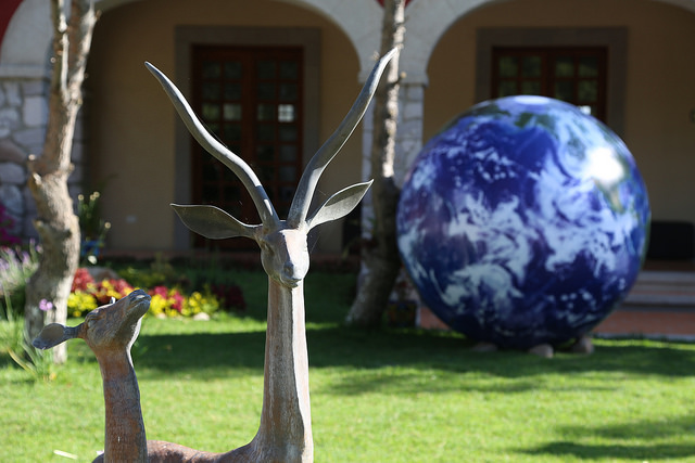 Consejo Metropolitano realizará su primer programa de educación ambiental