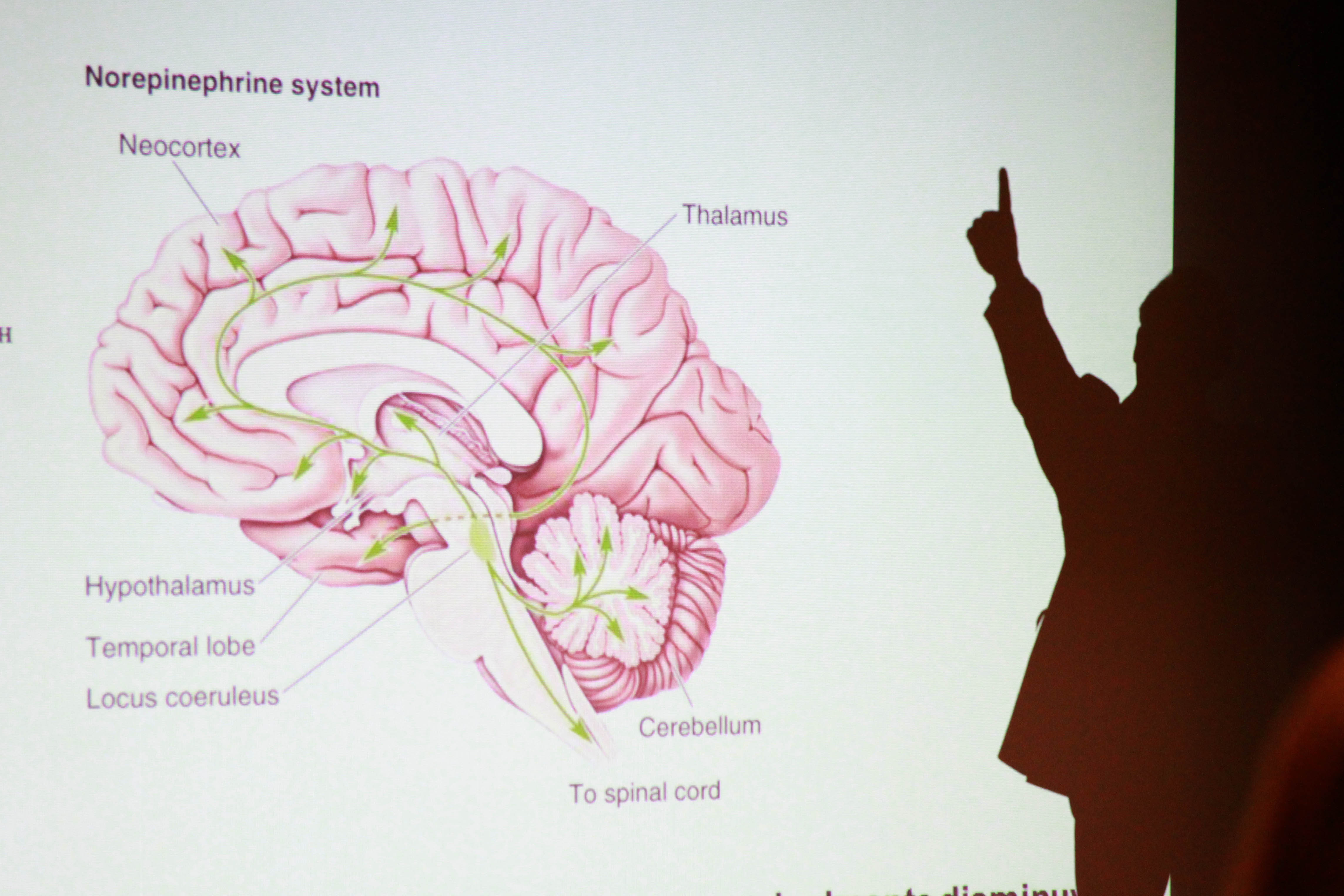La salud, un estado de bienestar físico y mental difícil de alcanzar