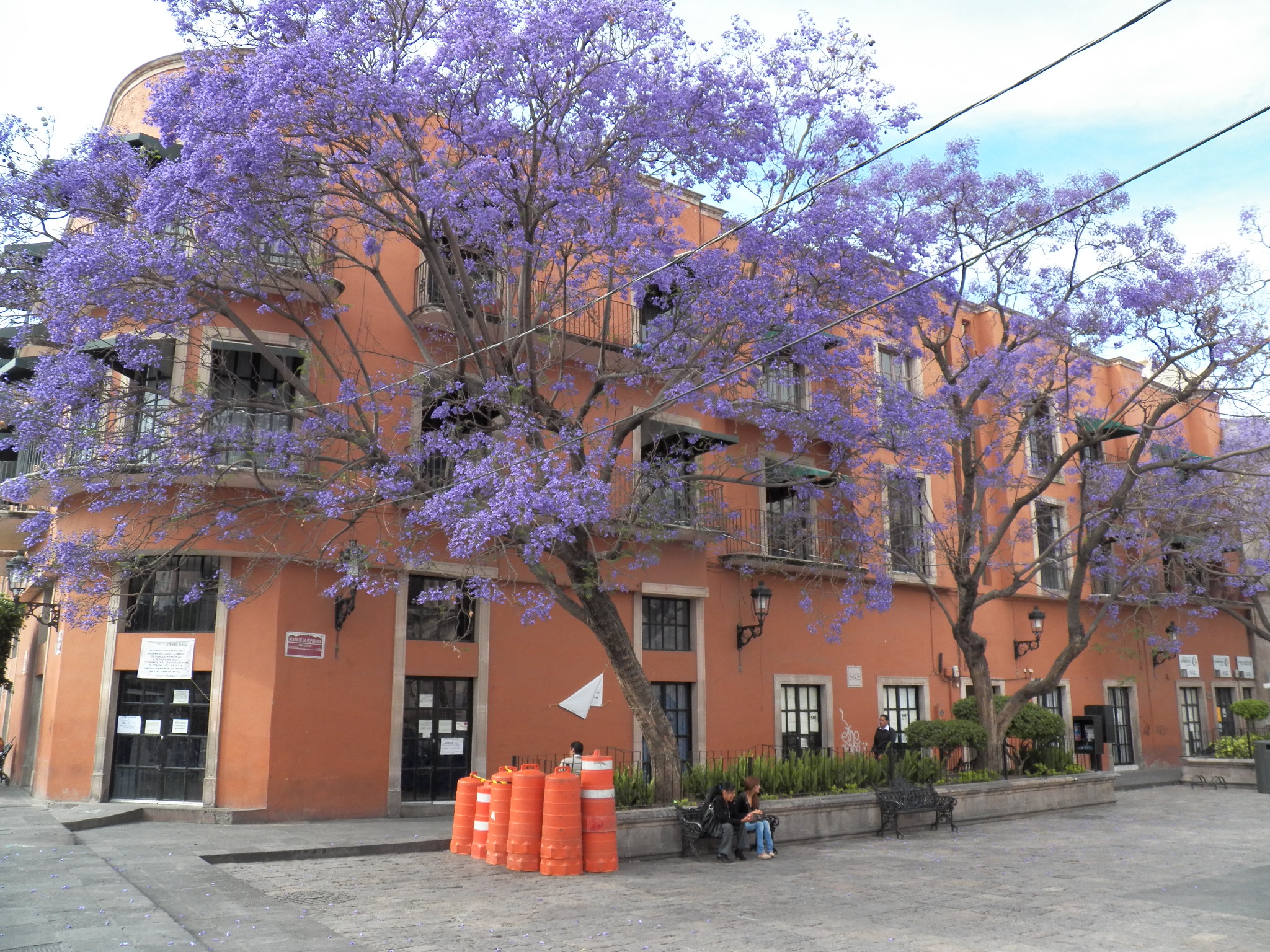 Se consolida proyecto Plaza de la Soberana Convención