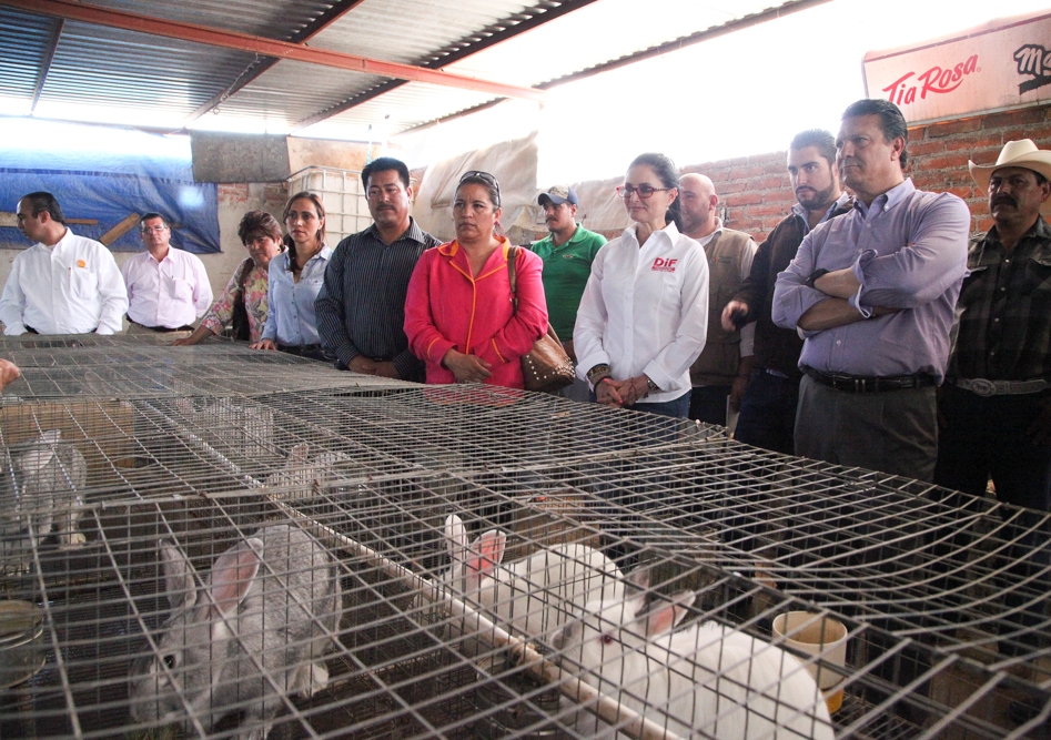 DIF estatal fomenta creación de granjas cunícolas