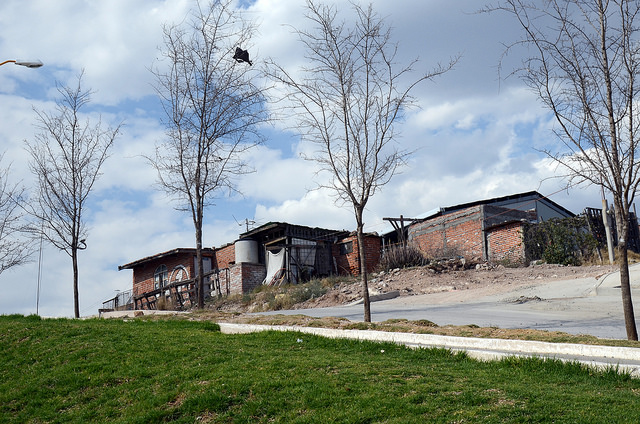 Reportan daños en la Línea Verde tras informe de diputado