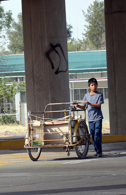 El 80% de los niños de la calle son de otros estados: Martín del Campo