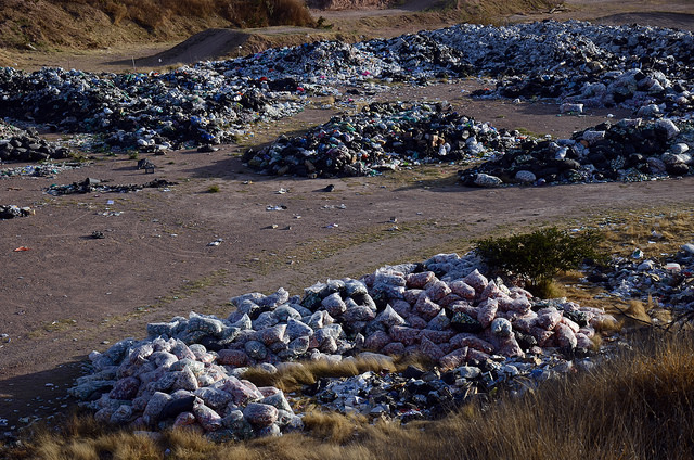 Necesario, incentivar a empresas de Aguascalientes para que separen residuos