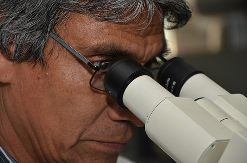 Fuga de talento científico en México por falta de inversión en la ciencia