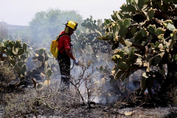 Incendio en la carretera a Calvillo estuvo a punto de salirse de control