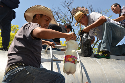 Productores de leche exigen a Liconsa no dejar de comprarles el producto