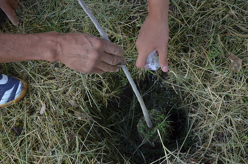 Celebración del Día Mundial del Medio Ambiente