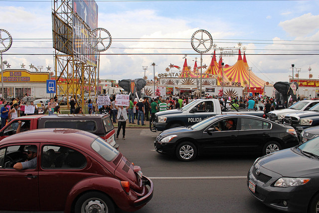 Más que interés animal, es pura política sucia: representante del circo Atayde