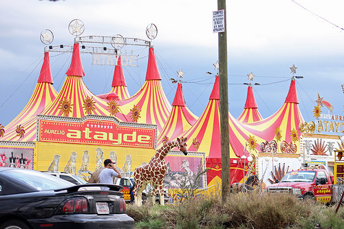 Municipio no clausurará circo Aurelio Atayde