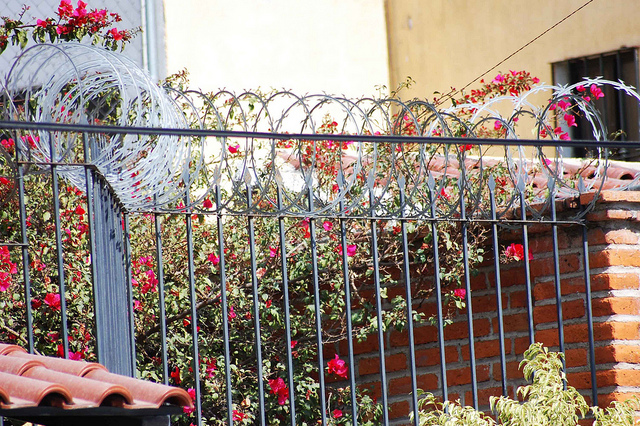 Sólo el 50% de los robos a casa habitación reclaman el seguro municipal