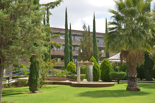 La Universidad Cuauhtémoc recibirá a 90 estudiantes de ingreso a Medicina