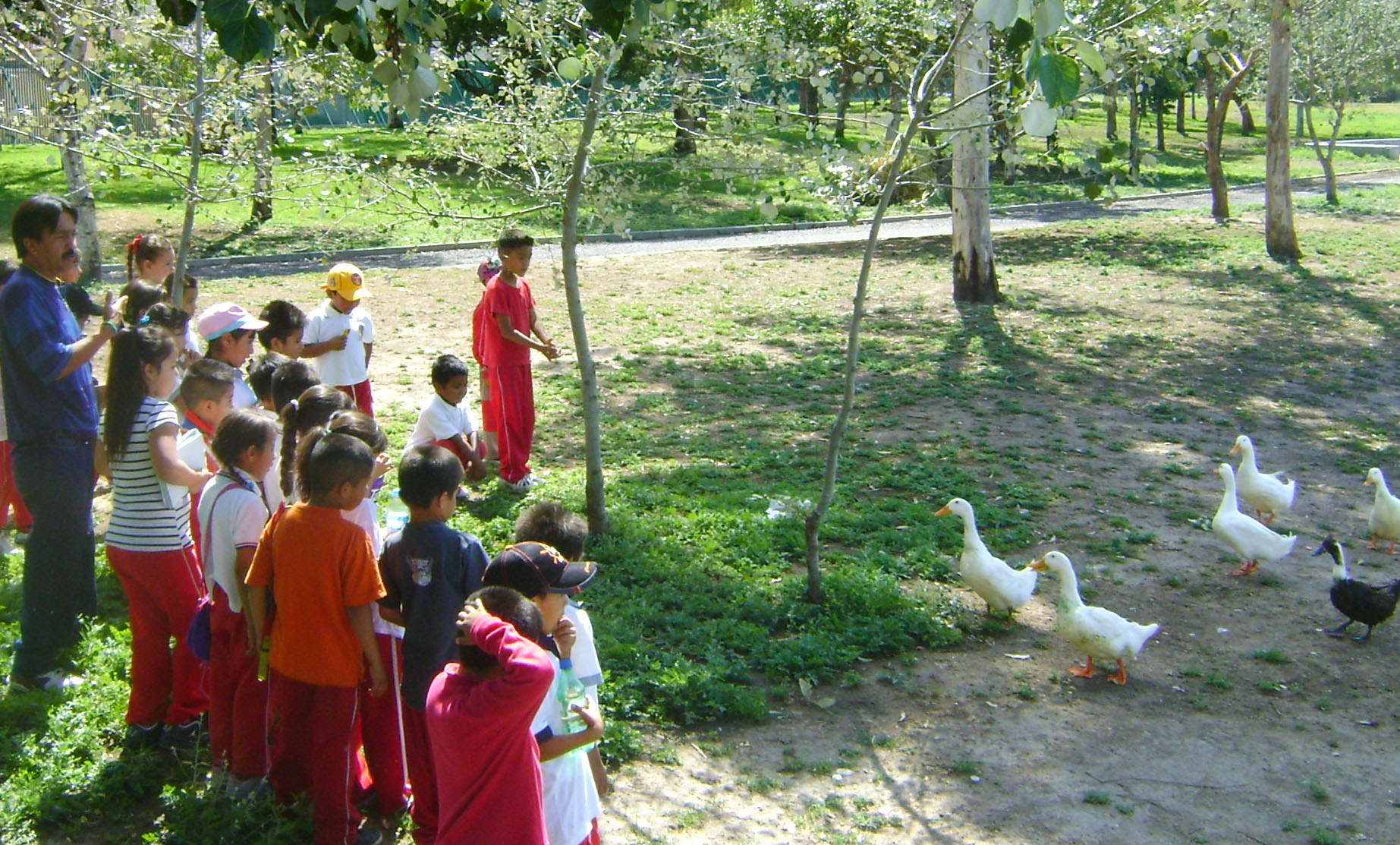Oficinas del municipio de Aguascalientes aplican acciones para el cuidado del medio ambiente