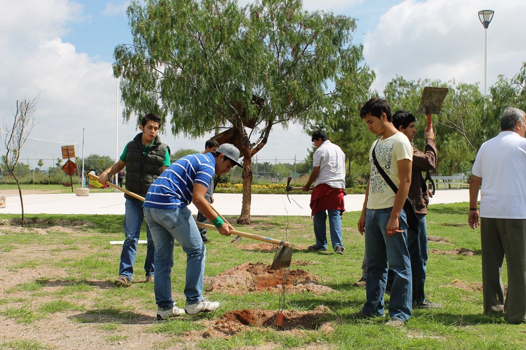 Insuficiente competitividad forestal en el estado